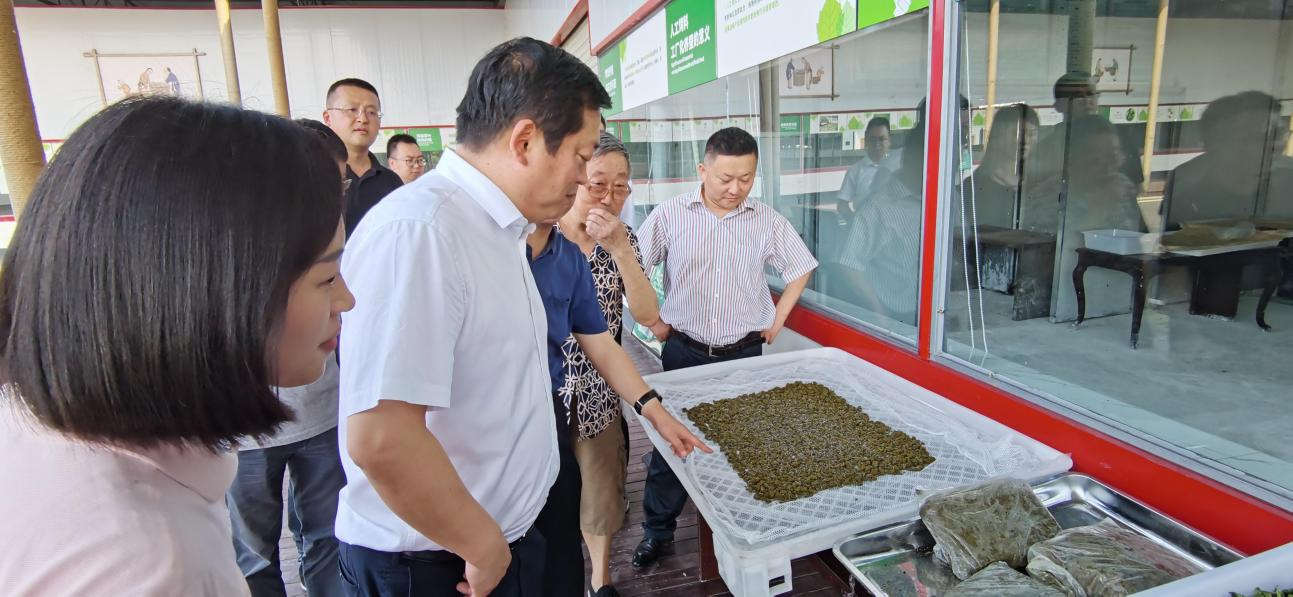 省南宫28集团党委副书记、董事陈日赴嘉陵区调研茶桑工业生长情形