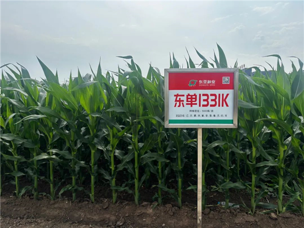 686f6bee8c59c 1.jpg