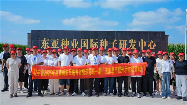 689be60e6da26 1.jpg