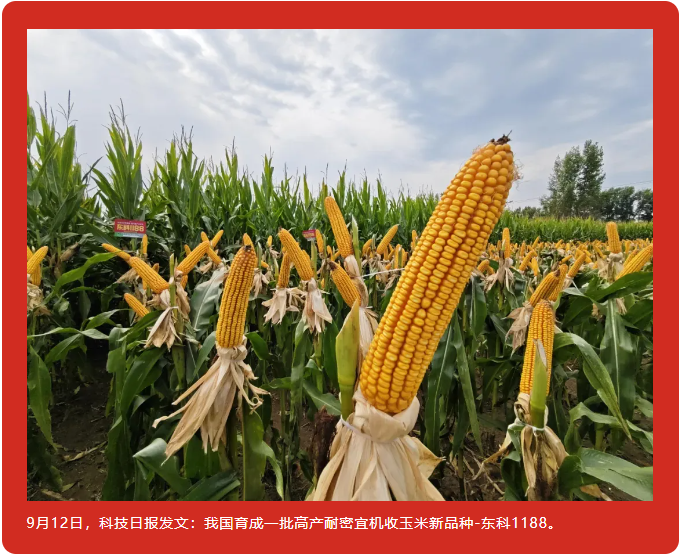 695a101088991