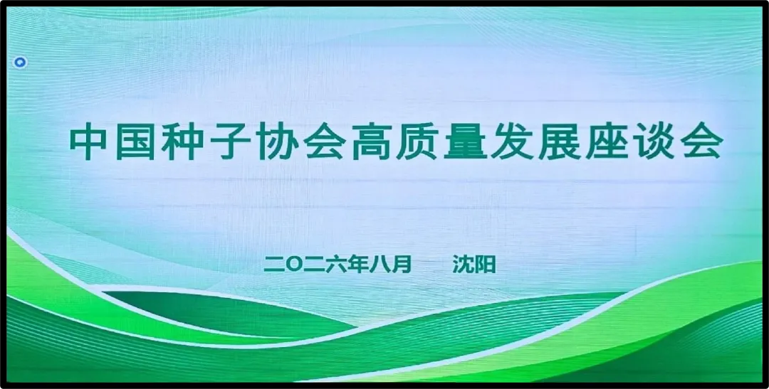 6a94e2c41ef8b 6a94e2c41ef8b